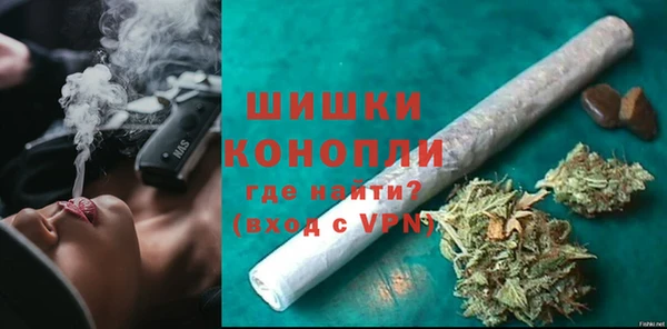 сатива Козловка