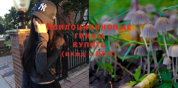 сатива Коряжма
