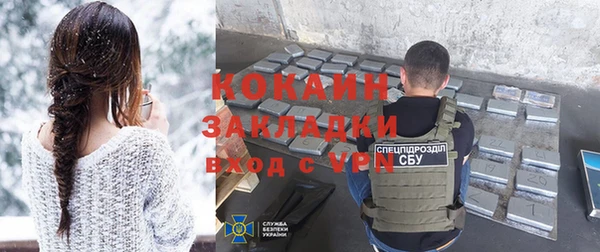 сатива Коряжма