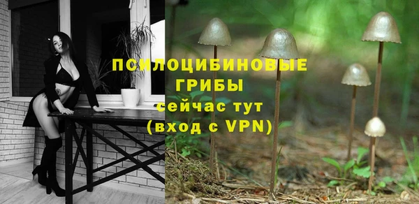 мет Козельск