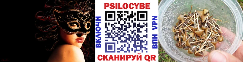 купить   Бородино  Галлюциногенные грибы GOLDEN TEACHER 